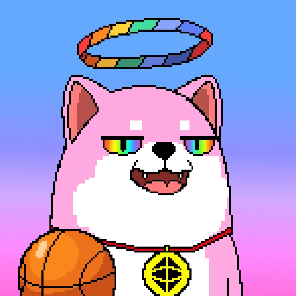 Mixin Doge Coin #56